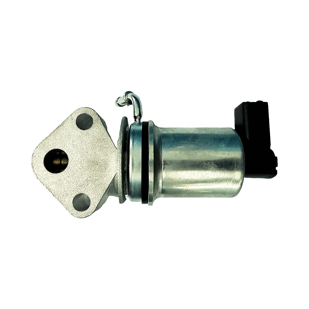 EV6019