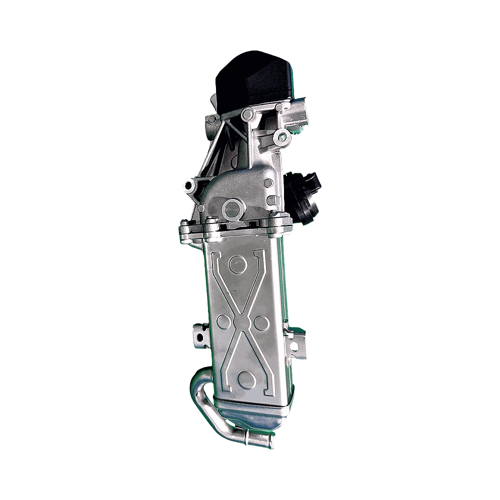 EV6246
